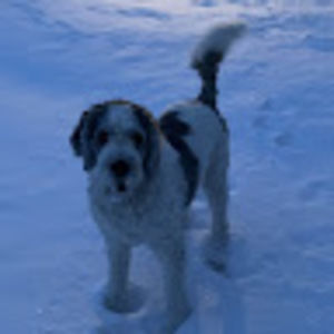 Meet your Posher, Joslyn